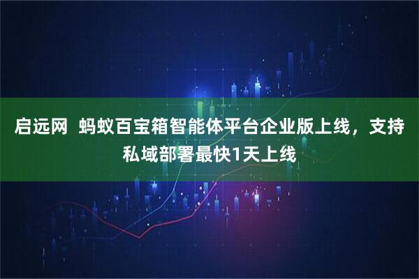启远网  蚂蚁百宝箱智能体平台企业版上线，支持私域部署最快1天上线