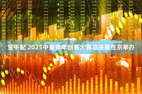 宝牛配 2025中美青年创客大赛总决赛在京举办
