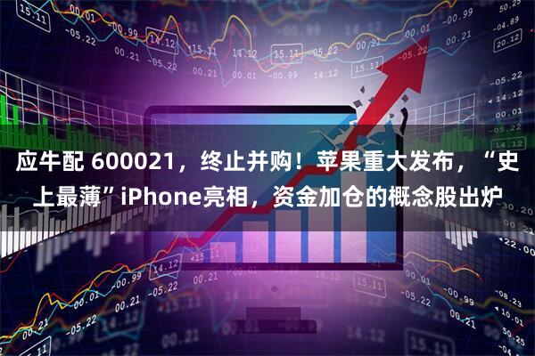 应牛配 600021，终止并购！苹果重大发布，“史上最薄”iPhone亮相，资金加仓的概念股出炉